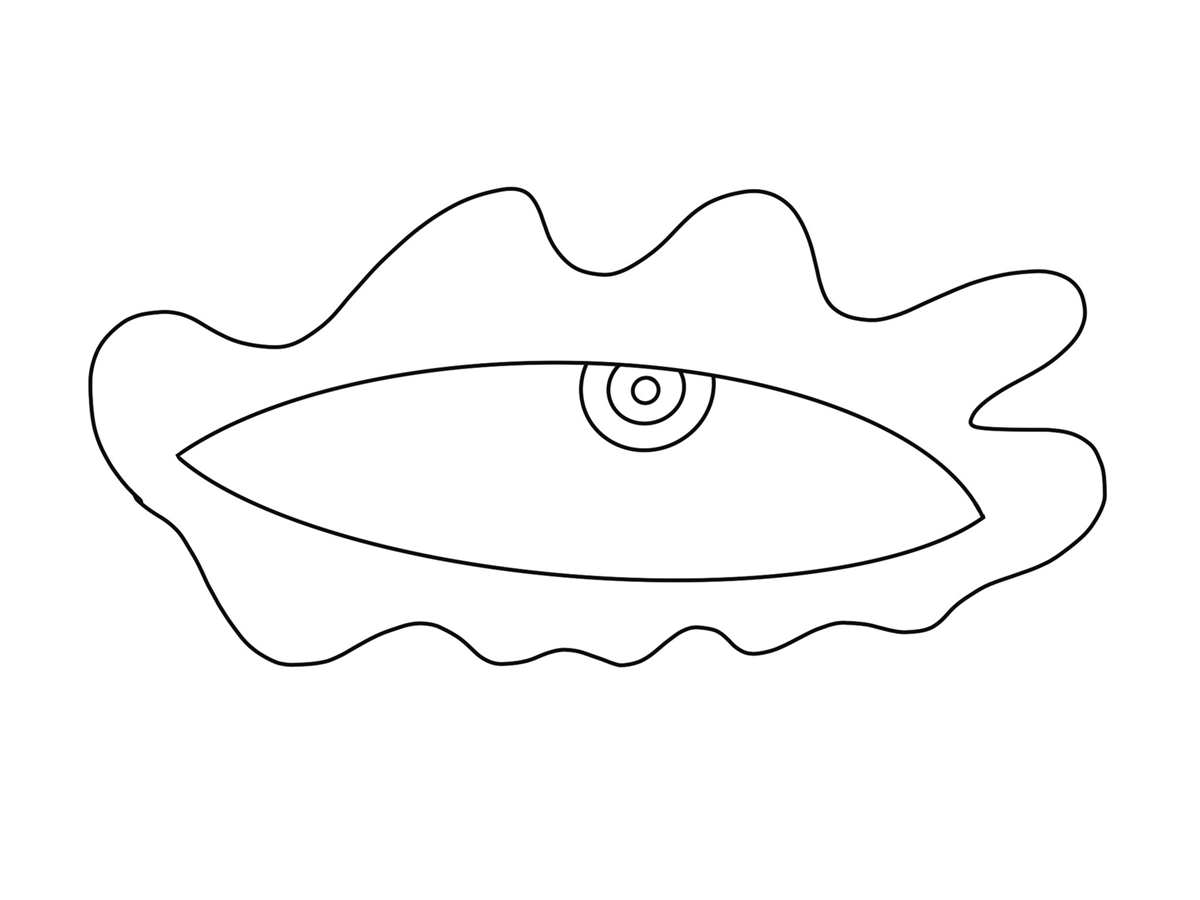 Ojo de ondas